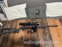 Winchester Xpert 22lr 