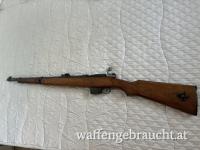 Bergmann Destroyer 9mm