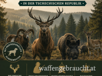EINLADUNG ZUR ZWEITÄGIGEN DRÜCKJAGD IN DER TSCHECHISCHEN REPUBLIK