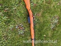 Steyr M95