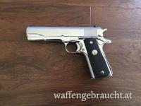 Colt Government Ultimate Stainless Steel 45 ACP