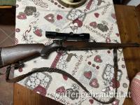 Steyr Modell M 7x64