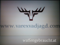 Hirsch Jagd im Ungarn/Hévíz
