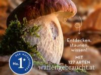 Pilze