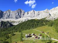 Murmalabschuss in der Obersteiermark 