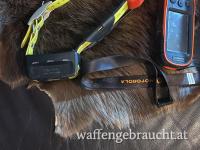 Hunde Navigation