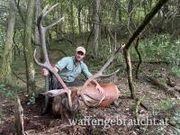 Hirschjagd in Raum Plattennsee&Kis-Balaton