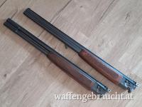 Wechsellauf Paar CZ ZH