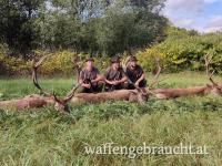 Rothirschjagd in Ungarn