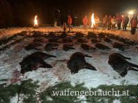 Traditionelle Drückjagd direkt nähe der österreichischen Grenze
