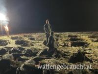 Großartige zweitägige Drückjagd im Komitat Somogy