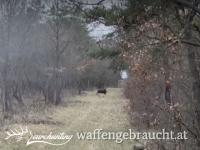 Riegeljagden in Westungarn