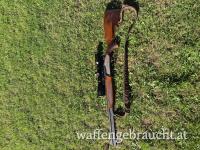Steyr Duett