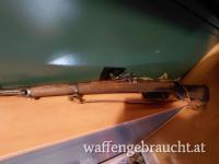 Steyer m95