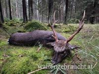 Sikajagd Tschechien 