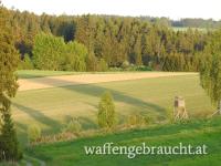 Jagdmöglichkeit für Jungjäger im Herzen des Waldviertels