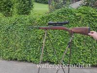 Steyr SM 12