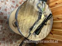 Bergara Ba13 Take down