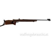 Schwedenmauser Carl Gustav Wettkampf