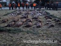 Möglichkeit zur Schwarzwildriegeljagd !