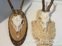 Auskochen, Bleichen, Montage