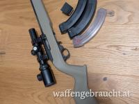 Ruger 10/22 target light