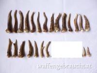 23 Rehkrickerl, 5.5 - 14 cm