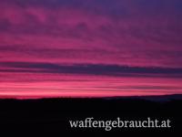 Herbstjagd Hubertusjagd Waldviertel