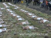 Schleppwild für Hundeausbildung