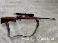 Gewehr Steyr-Daimler, Modell Mannlicher