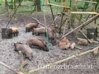 Jagdmöglichkeit in Kroatien nähe Sisak