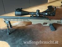 Smith Wesson 308