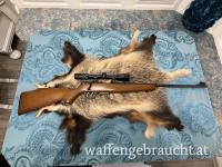Krico .22 Hornet