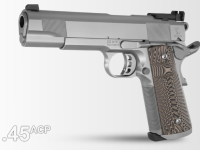 Tisas ZIG Match 1911 .45ACP Stainless