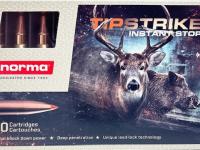 Norma kal.300Win.Mag.11g 170gr