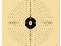 LG Scheibe.12er 250Stk. 14x14