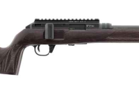 Hammerli Arms Force B1 22LR Holzschaft
