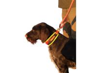 Hunde Schweißhalsung Trail Gr.M