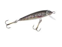 Balzer MK Kleinkrams B.Forelle